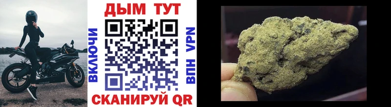 Где купить Кологрив Cocaine  ГАШИШ  ссылка на мегу вход  Канабис  Галлюциногенные грибы 