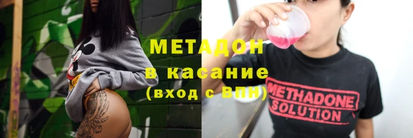 прущие грибы Алзамай