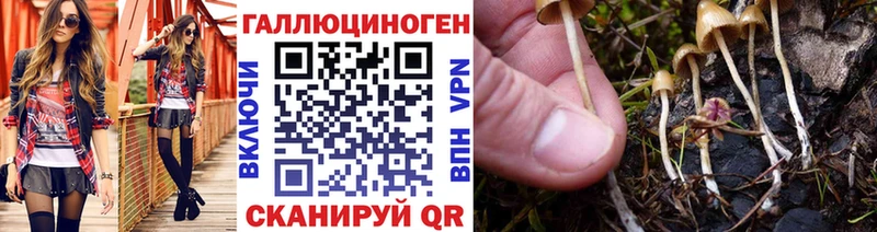 купить  сайты  Кологрив  Псилоцибиновые грибы прущие грибы 